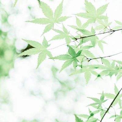 南京AI赋能钢铁除尘超低排放交流...